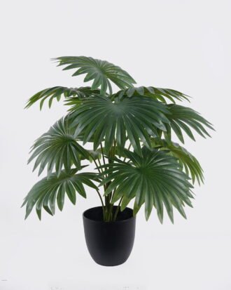 Artificial Table Plants 40*40*44cm Fan Palm in PP pot GS-03326074 2026Jun 3,000+ sqm showroom with thousands of artificial flowers, plants & trees ready for global sourcing. Artificial Table Plants 40*40*44cm Fan Palm in PP pot GS-03326074 2026Jun 3,000+ sqm showroom with thousands of artificial flowers, plants & trees ready for global sourcing.