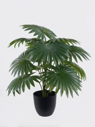 Artificial Table Plants 52*52*52cm Areca palm in PP pot GS-03326073 2026Jun 3,000+ sqm showroom with thousands of artificial flowers, plants & trees ready for global sourcing.