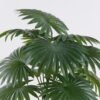 Artificial Table Plants Fan Palm in PP pot GS-03326074_3 Artificial Table Plants 40*40*44cm Fan Palm in PP pot GS-03326074 2026Jun 3,000+ sqm showroom with thousands of artificial flowers, plants & trees ready for global sourcing.