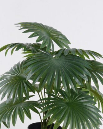 Artificial Table Plants 40*40*44cm Fan Palm in PP pot GS-03326074 2026Jun 3,000+ sqm showroom with thousands of artificial flowers, plants & trees ready for global sourcing. Artificial Table Plants 40*40*44cm Fan Palm in PP pot GS-03326074 2026Jun 3,000+ sqm showroom with thousands of artificial flowers, plants & trees ready for global sourcing.