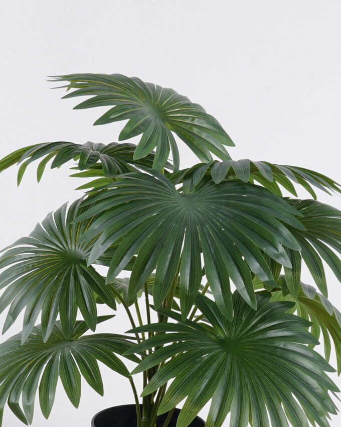 Artificial Table Plants 40*40*44cm Fan Palm in PP pot GS-03326074 2026Jun 3,000+ sqm showroom with thousands of artificial flowers, plants & trees ready for global sourcing.