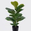 Artificial Table Plants 35*35*53cm Fiddle Ficus in PP pot GS-03326078 2026Jun 3,000+ sqm showroom with thousands of artificial flowers, plants & trees ready for global sourcing.