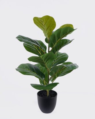Artificial Table Plants 35*35*53cm Fiddle Ficus in PP pot GS-03326078 2026Jun 3,000+ sqm showroom with thousands of artificial flowers, plants & trees ready for global sourcing. Artificial Table Plants 35*35*53cm Fiddle Ficus in PP pot GS-03326078 2026Jun 3,000+ sqm showroom with thousands of artificial flowers, plants & trees ready for global sourcing.