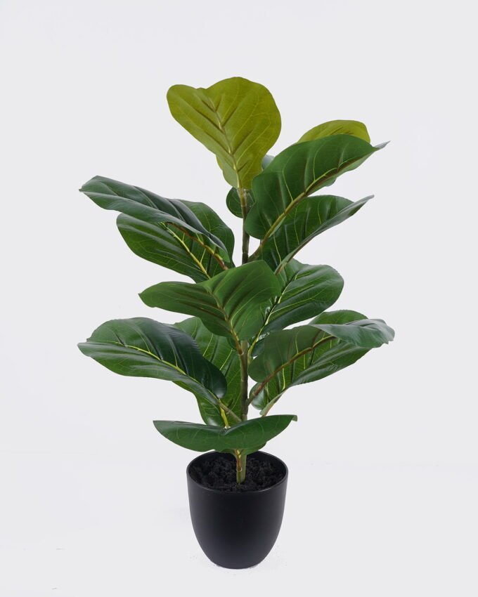 Artificial Table Plants 35*35*53cm Fiddle Ficus in PP pot GS-03326078 2026Jun 3,000+ sqm showroom with thousands of artificial flowers, plants & trees ready for global sourcing.