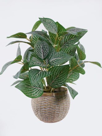 Artificial Table Plants 32*32*32cm Calathea in cement pot GS-03326062 2026Jun 3,000+ sqm showroom with thousands of artificial flowers, plants & trees ready for global sourcing.