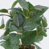 Artificial Table Plants Fittonia in cement pot GS-03326061_2 Artificial Table Plants 32*32*32cm Fittonia in cement pot GS-03326061 2026Jun 3,000+ sqm showroom with thousands of artificial flowers, plants & trees ready for global sourcing.