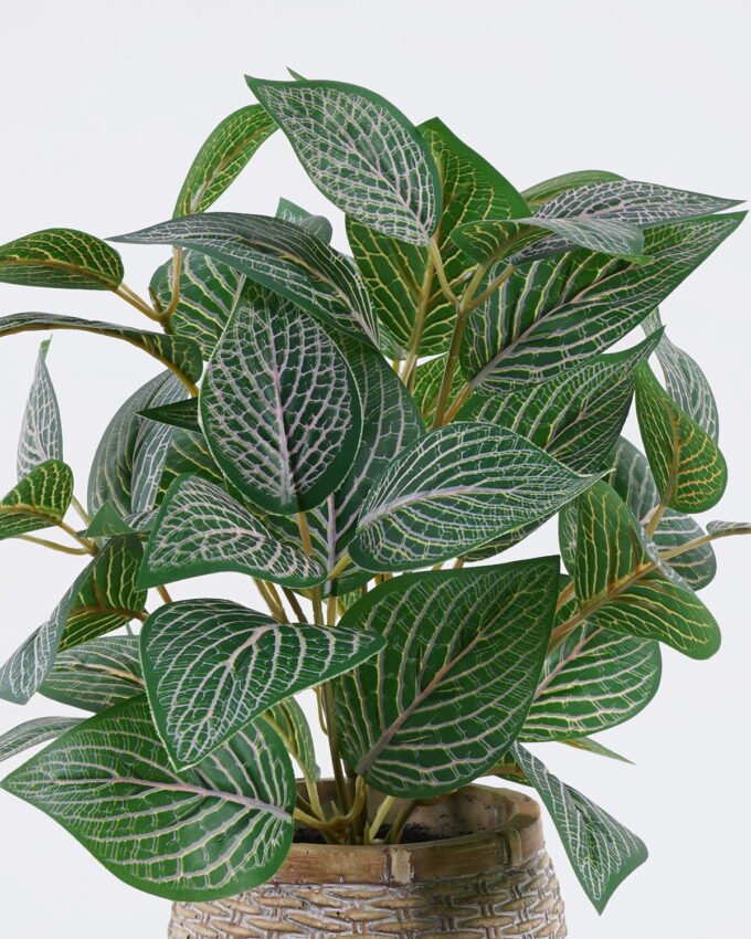 Artificial Table Plants 32*32*32cm Fittonia in cement pot GS-03326061 2026Jun 3,000+ sqm showroom with thousands of artificial flowers, plants & trees ready for global sourcing.