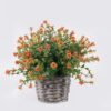 Artificial Table Plants Flower in Bamboo basket GS-38926027_4 Artificial Table Plants 21*21*20cm Flower in Bamboo basket GS-38926027 2026Jul 3,000+ sqm showroom with thousands of artificial flowers, plants & trees ready for global sourcing.