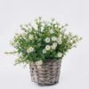 Artificial Table Plants Flower in Basket pot GS-38926009_5 Artificial Table Plants 20*20*20 Flower in Basket pot GS-38926009 2026Jul 3,000+ sqm showroom with thousands of artificial flowers, plants & trees ready for global sourcing.