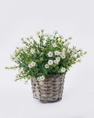 Artificial Table Plants 20*20*20 Flower in Basket pot GS-38926009 2026Jul 3,000+ sqm showroom with thousands of artificial flowers, plants & trees ready for global sourcing. Artificial Table Plants 20*20*20 Flower in Basket pot GS-38926009 2026Jul 3,000+ sqm showroom with thousands of artificial flowers, plants & trees ready for global sourcing.