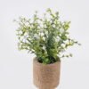 Artificial Table Plants Flower in Hemp rope pot GS-38926037_4 Artificial Table Plants 23*13*23cm Flower in Hemp rope pot GS-38926037 2026Jul 3,000+ sqm showroom with thousands of artificial flowers, plants & trees ready for global sourcing.