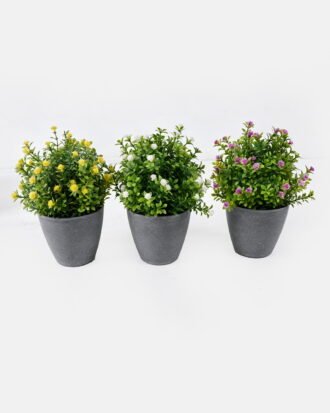 Artificial Table Plants 15*13*18cm Flower in PP pot GS-38926016 2026Jul 3,000+ sqm showroom with thousands of artificial flowers, plants & trees ready for global sourcing. Artificial Table Plants 15*13*18cm Flower in PP pot GS-38926016 2026Jul 3,000+ sqm showroom with thousands of artificial flowers, plants & trees ready for global sourcing.