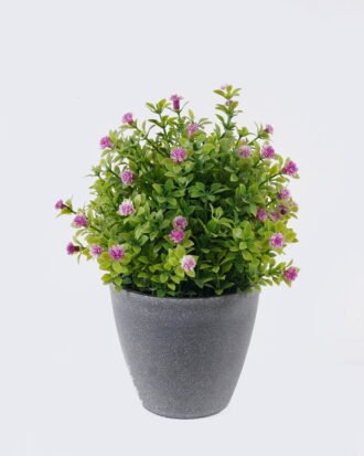 Artificial Table Plants 15*13*18cm Flower in PP pot GS-38926016 2026Jul 3,000+ sqm showroom with thousands of artificial flowers, plants & trees ready for global sourcing. Artificial Table Plants 15*13*18cm Flower in PP pot GS-38926016 2026Jul 3,000+ sqm showroom with thousands of artificial flowers, plants & trees ready for global sourcing.