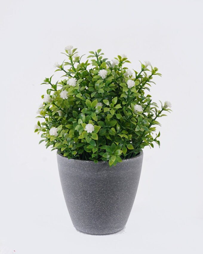 Artificial Table Plants Flower in PP pot GS-38926016_3 Artificial Table Plants 15*13*18cm Flower in PP pot GS-38926016 2026Jul 3,000+ sqm showroom with thousands of artificial flowers, plants & trees ready for global sourcing.