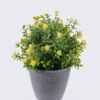 Artificial Table Plants Flower in PP pot GS-38926016_4 Artificial Table Plants 15*13*18cm Flower in PP pot GS-38926016 2026Jul 3,000+ sqm showroom with thousands of artificial flowers, plants & trees ready for global sourcing.