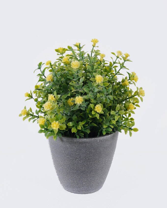 Artificial Table Plants Flower in PP pot GS-38926016_4 Artificial Table Plants 15*13*18cm Flower in PP pot GS-38926016 2026Jul 3,000+ sqm showroom with thousands of artificial flowers, plants & trees ready for global sourcing.