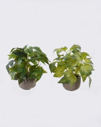 Artificial Table Plants 30*30*28cm Grape leaf in Cement pot GS-03326064 2026Jun 3,000+ sqm showroom with thousands of artificial flowers, plants & trees ready for global sourcing. Artificial Table Plants 30*30*28cm Grape leaf in Cement pot GS-03326064 2026Jun 3,000+ sqm showroom with thousands of artificial flowers, plants & trees ready for global sourcing.