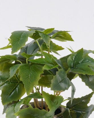 Artificial Table Plants 30*30*28cm Grape leaf in Cement pot GS-03326064 2026Jun 3,000+ sqm showroom with thousands of artificial flowers, plants & trees ready for global sourcing. Artificial Table Plants 30*30*28cm Grape leaf in Cement pot GS-03326064 2026Jun 3,000+ sqm showroom with thousands of artificial flowers, plants & trees ready for global sourcing.
