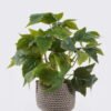 Artificial Table Plants Grape leaf in Cement pot GS-03326064_4 Artificial Table Plants 30*30*28cm Grape leaf in Cement pot GS-03326064 2026Jun 3,000+ sqm showroom with thousands of artificial flowers, plants & trees ready for global sourcing.