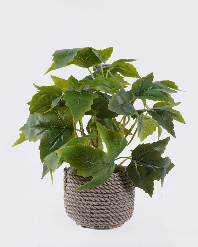 Artificial Table Plants Grape leaf in Cement pot GS-03326064_4 Artificial Table Plants 30*30*28cm Grape leaf in Cement pot GS-03326064 2026Jun 3,000+ sqm showroom with thousands of artificial flowers, plants & trees ready for global sourcing.