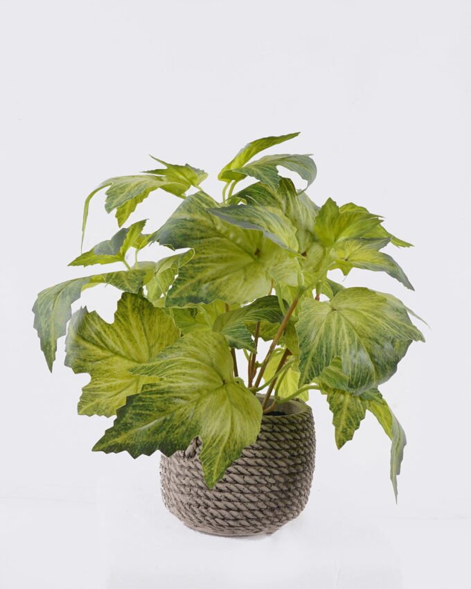 Artificial Table Plants Grape leaf in Cement pot GS-03326064_5 Artificial Table Plants 30*30*28cm Grape leaf in Cement pot GS-03326064 2026Jun 3,000+ sqm showroom with thousands of artificial flowers, plants & trees ready for global sourcing.