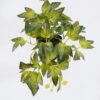 Artificial Table Plants Grape leaf in PP pot GS-03326079-G2 Artificial Table Plants 32*20*19cm Grape leaf in PP pot GS-03326079-G2 2026Jun 3,000+ sqm showroom with thousands of artificial flowers, plants & trees ready for global sourcing.