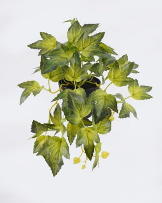 Artificial Table Plants 32*20*19cm Grape leaf in PP pot GS-03326079-G2 2026Jun 3,000+ sqm showroom with thousands of artificial flowers, plants & trees ready for global sourcing. Artificial Table Plants 32*20*19cm Grape leaf in PP pot GS-03326079-G2 2026Jun 3,000+ sqm showroom with thousands of artificial flowers, plants & trees ready for global sourcing.