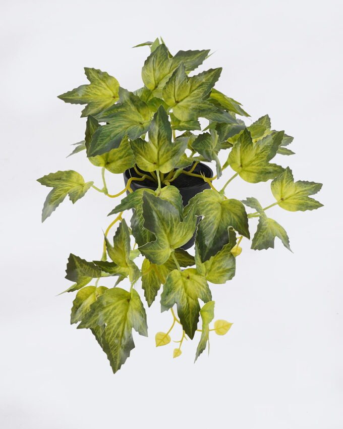 Artificial Table Plants 32*20*19cm  Grape leaf in PP pot GS-03326079-G2 2026Jun 3,000+ sqm showroom with thousands of artificial flowers, plants & trees ready for global sourcing.