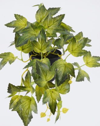 Artificial Table Plants 32*20*19cm Grape leaf in PP pot GS-03326079-G2 2026Jun 3,000+ sqm showroom with thousands of artificial flowers, plants & trees ready for global sourcing. Artificial Table Plants 32*20*19cm Grape leaf in PP pot GS-03326079-G2 2026Jun 3,000+ sqm showroom with thousands of artificial flowers, plants & trees ready for global sourcing.