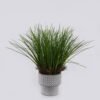 Artificial Table Plants Grass in Cement pot GS-03326114_3 Artificial Table Plants 35*35*35cm Grass in Cement pot GS-03326114 2026Jun 3,000+ sqm showroom with thousands of artificial flowers, plants & trees ready for global sourcing.