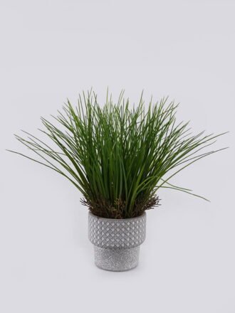 Artificial Table Plants 30*30*30cm Agave in Cement Pot GS-03326115 2026Jun 3,000+ sqm showroom with thousands of artificial flowers, plants & trees ready for global sourcing.