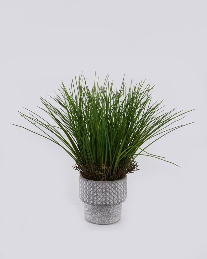 Artificial Table Plants 35*35*35cm Grass in Cement pot GS-03326114 2026Jun 3,000+ sqm showroom with thousands of artificial flowers, plants & trees ready for global sourcing.
