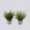 Artificial Table Plants Grass in Cement pot GS-03326117_2 Artificial Table Plants 30*30*37cm Grass in Cement pot GS-03326117 2026Jun 3,000+ sqm showroom with thousands of artificial flowers, plants & trees ready for global sourcing.
