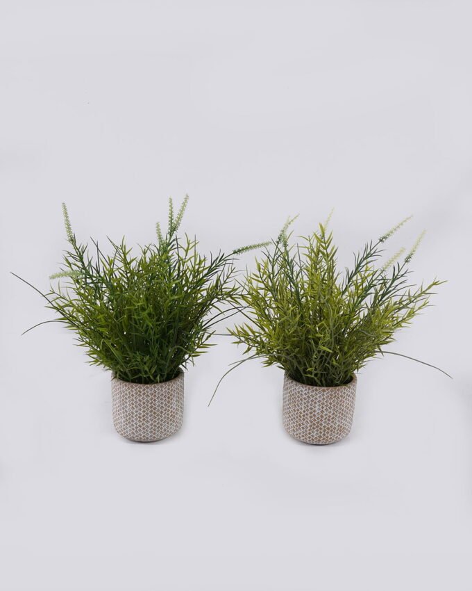 Artificial Table Plants 30*30*37cm  Grass in Cement pot GS-03326117 2026Jun 3,000+ sqm showroom with thousands of artificial flowers, plants & trees ready for global sourcing.