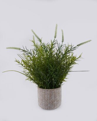 Artificial Table Plants 30*30*37cm Grass in Cement pot GS-03326117 2026Jun 3,000+ sqm showroom with thousands of artificial flowers, plants & trees ready for global sourcing. Artificial Table Plants 30*30*37cm Grass in Cement pot GS-03326117 2026Jun 3,000+ sqm showroom with thousands of artificial flowers, plants & trees ready for global sourcing.