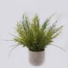 Artificial Table Plants Grass in Cement pot GS-03326117_4 Artificial Table Plants 30*30*37cm Grass in Cement pot GS-03326117 2026Jun 3,000+ sqm showroom with thousands of artificial flowers, plants & trees ready for global sourcing.