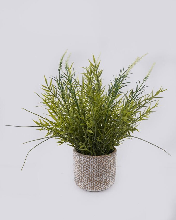 Artificial Table Plants Grass in Cement pot GS-03326117_4 Artificial Table Plants 30*30*37cm Grass in Cement pot GS-03326117 2026Jun 3,000+ sqm showroom with thousands of artificial flowers, plants & trees ready for global sourcing.