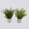 Artificial Table Plants Grass in Cement pot GS-03326118_2 Artificial Table Plants 30*30*37cm Grass in Cement pot GS-03326118 2026Jun 3,000+ sqm showroom with thousands of artificial flowers, plants & trees ready for global sourcing.