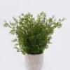 Artificial Table Plants Grass in Cement pot GS-03326118_3 Artificial Table Plants 30*30*37cm Grass in Cement pot GS-03326118 2026Jun 3,000+ sqm showroom with thousands of artificial flowers, plants & trees ready for global sourcing.