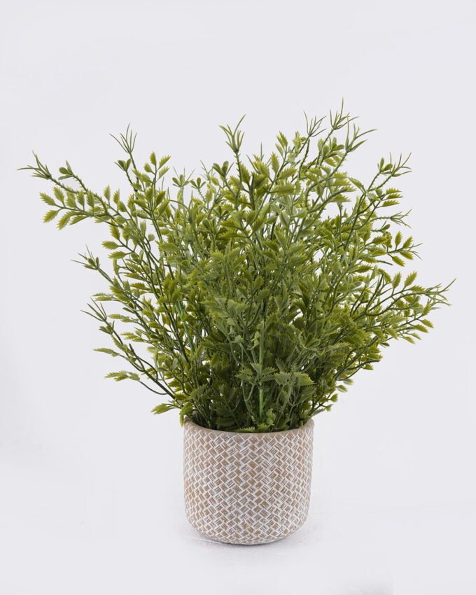 Artificial Table Plants Grass in Cement pot GS-03326118_4 Artificial Table Plants 30*30*37cm Grass in Cement pot GS-03326118 2026Jun 3,000+ sqm showroom with thousands of artificial flowers, plants & trees ready for global sourcing.