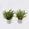 Artificial Table Plants Grass in Cement pot GS-03326119_2 Artificial Table Plants 30*30*37cm Grass in Cement pot GS-03326119 2026Jun 3,000+ sqm showroom with thousands of artificial flowers, plants & trees ready for global sourcing.