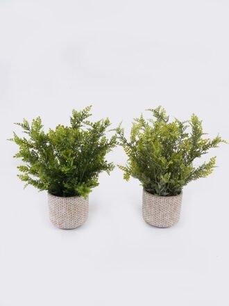 Artificial Table Plants 30*30*33cm Grass in PP pot GS-03326120 2026Jun 3,000+ sqm showroom with thousands of artificial flowers, plants & trees ready for global sourcing.