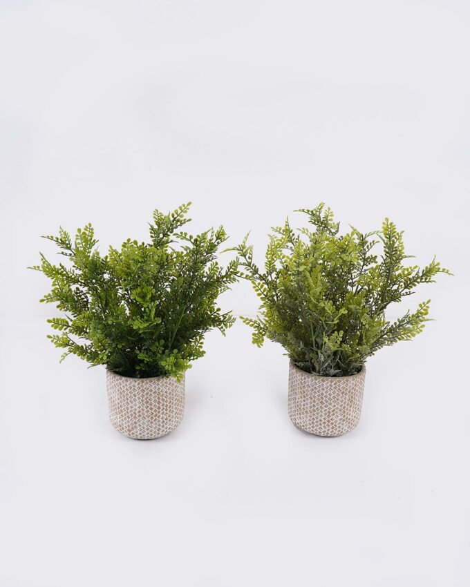 Artificial Table Plants 30*30*37cm  Grass in Cement pot GS-03326119 2026Jun 3,000+ sqm showroom with thousands of artificial flowers, plants & trees ready for global sourcing.