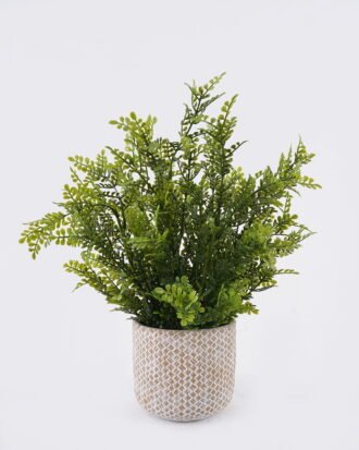 Artificial Table Plants 30*30*37cm Grass in Cement pot GS-03326119 2026Jun 3,000+ sqm showroom with thousands of artificial flowers, plants & trees ready for global sourcing. Artificial Table Plants 30*30*37cm Grass in Cement pot GS-03326119 2026Jun 3,000+ sqm showroom with thousands of artificial flowers, plants & trees ready for global sourcing.