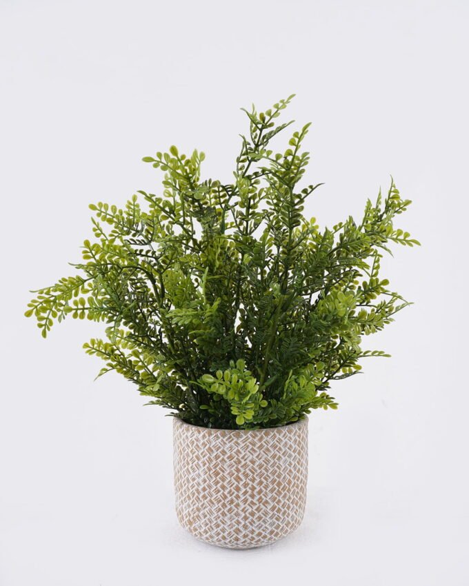 Artificial Table Plants 30*30*37cm  Grass in Cement pot GS-03326119 2026Jun 3,000+ sqm showroom with thousands of artificial flowers, plants & trees ready for global sourcing.