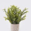 Artificial Table Plants Grass in Cement pot GS-03326119_4 Artificial Table Plants 30*30*37cm Grass in Cement pot GS-03326119 2026Jun 3,000+ sqm showroom with thousands of artificial flowers, plants & trees ready for global sourcing.