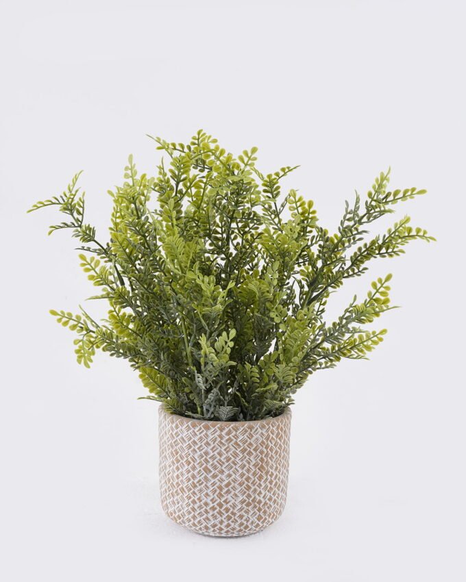 Artificial Table Plants Grass in Cement pot GS-03326119_4 Artificial Table Plants 30*30*37cm Grass in Cement pot GS-03326119 2026Jun 3,000+ sqm showroom with thousands of artificial flowers, plants & trees ready for global sourcing.