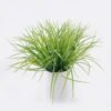 Artificial Table Plants Grass in Ceramic pot GS-38926007_4 Artificial Table Plants 35*30*33cm Grass in Ceramic pot GS-38926007 2026Jul 3,000+ sqm showroom with thousands of artificial flowers, plants & trees ready for global sourcing.