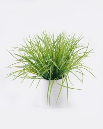 Artificial Table Plants 35*30*33cm Grass in Ceramic pot GS-38926007 2026Jul 3,000+ sqm showroom with thousands of artificial flowers, plants & trees ready for global sourcing. Artificial Table Plants 35*30*33cm Grass in Ceramic pot GS-38926007 2026Jul 3,000+ sqm showroom with thousands of artificial flowers, plants & trees ready for global sourcing.