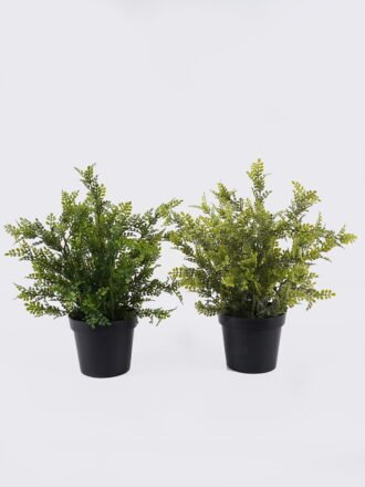 Artificial succulent 45*45*43cm Aloe in Cement GS-03326121 2026Jun 3,000+ sqm showroom with thousands of artificial flowers, plants & trees ready for global sourcing.